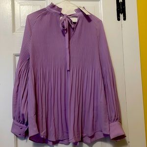Lavender blouse from Chico’s. Never worn. Tags on.